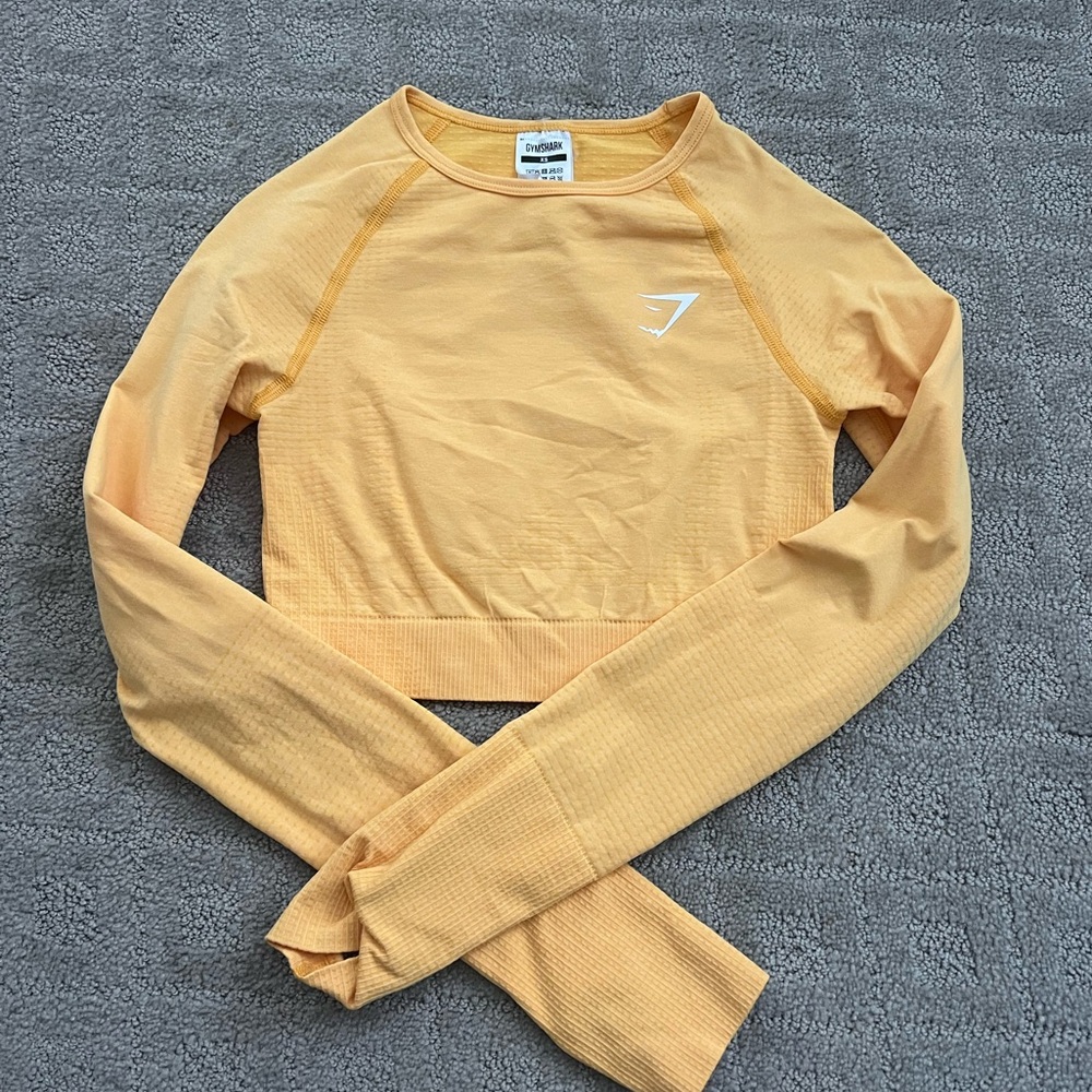 Gym Shark Long Sleeve